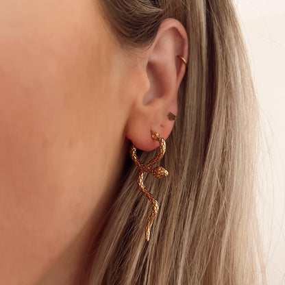 Oorbellen in de vorm van een slang. De oorbellen worden per paar verkocht en zijn gemaakt van roestvrij staal met een gold plated laagje. De oorbellen zijn waterproof.