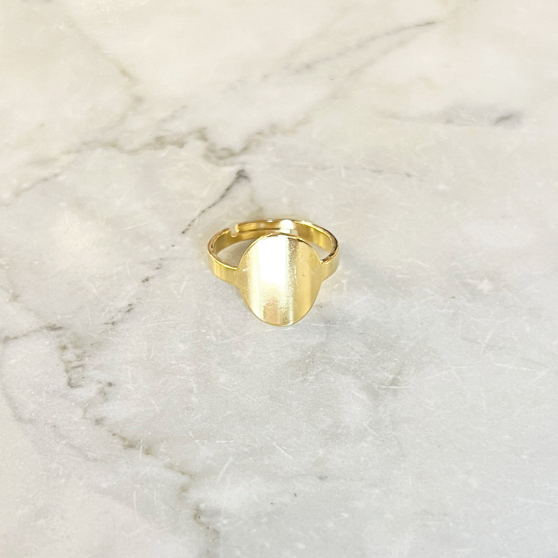 Gouden ring met een grote cirkel. De ring is van roestvrij staal met een gold plated laagje en is waterproof. De ring is one-size en verstelbaar. Ronde signet ring goud. 